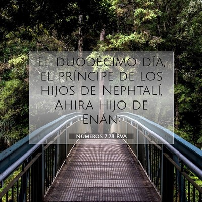 Picture 07 - Números 7:78 RVA - El duodécimo día, el príncipe de los hijos de - Bible Verse Picture