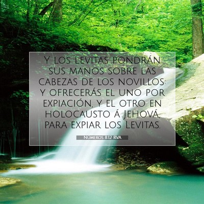 Picture 07 - Números 8:12 RVA - Y los Levitas pondrán sus manos sobre las - Bible Verse Picture
