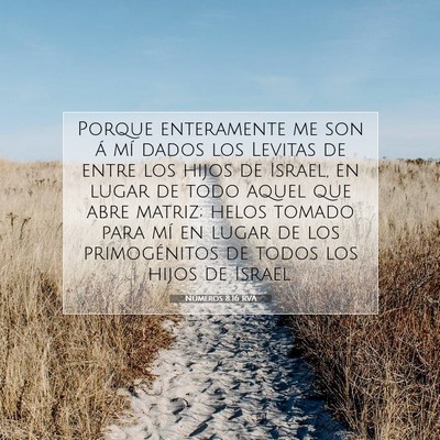 Picture 07 - Números 8:16 RVA - Porque enteramente me son á mí dados los - Bible Verse Picture