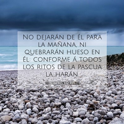 Picture 07 - Números 9:12 RVA - No dejarán de él para la mañana, ni quebrarán - Bible Verse Picture