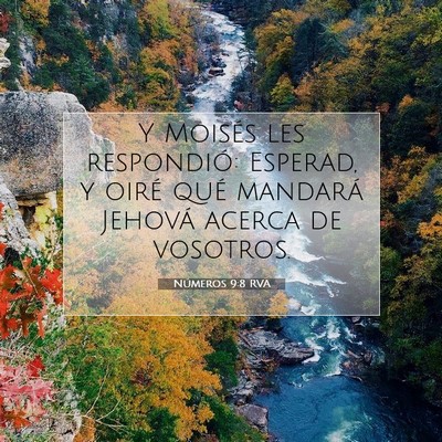 Picture 07 - Números 9:8 RVA - Y Moisés les respondió: Esperad, y oiré qué - Bible Verse Picture