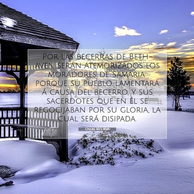 Picture 07 - Oseas 10:5 RVA - Por las becerras de Beth-aven serán atemorizados - Bible Verse Picture