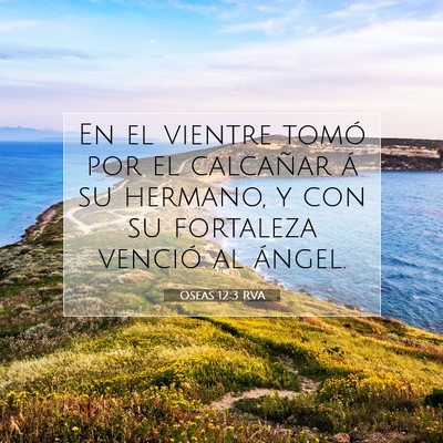 Picture 07 - Oseas 12:3 RVA - En el vientre tomó por el calcañar á su - Bible Verse Picture