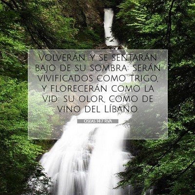 Picture 07 - Oseas 14:7 RVA - Volverán, y se sentarán bajo de su sombra: - Bible Verse Picture
