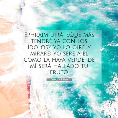 Picture 07 - Oseas 14:8 RVA - Ephraim dirá: ¿Qué más tendré ya con los - Bible Verse Picture