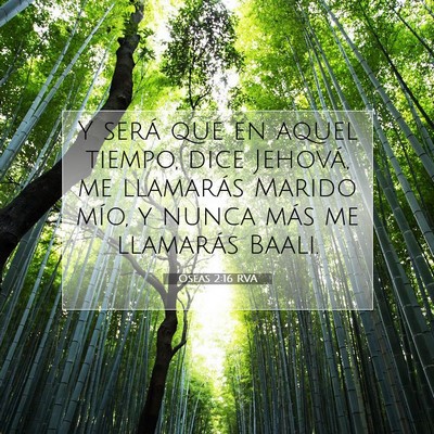 Picture 07 - Oseas 2:16 RVA - Y será que en aquel tiempo, dice Jehová, me - Bible Verse Picture