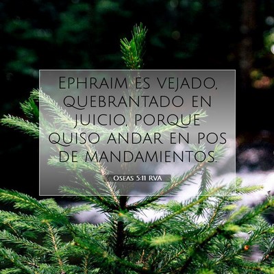 Picture 07 - Oseas 5:11 RVA - Ephraim es vejado, quebrantado en juicio, porque - Bible Verse Picture