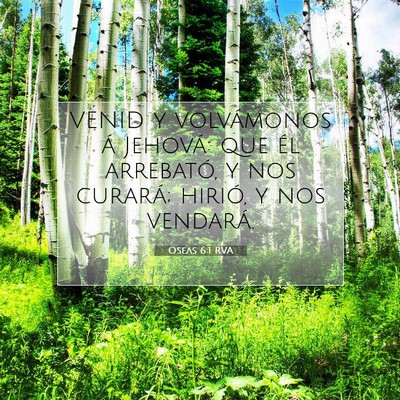 Picture 07 - Oseas 6:1 RVA - VENID y volvámonos á Jehová: que él - Bible Verse Picture