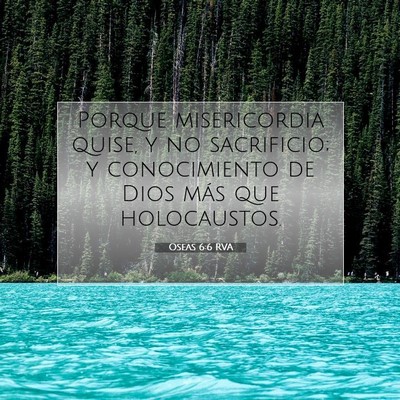 Picture 07 - Oseas 6:6 RVA - Porque misericordia quise, y no sacrificio; y - Bible Verse Picture