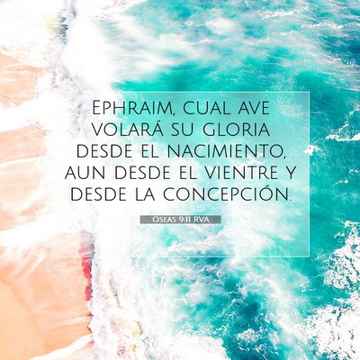 Picture 07 - Oseas 9:11 RVA - Ephraim, cual ave volará su gloria desde el - Bible Verse Picture