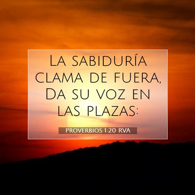 Picture 07 - Proverbios 1:20 RVA - La sabiduría clama de fuera, Da su voz en las - Bible Verse Picture