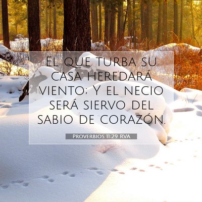 Picture 07 - Proverbios 11:29 RVA - El que turba su casa heredará viento; Y el necio - Bible Verse Picture