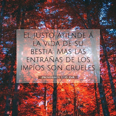 Picture 07 - Proverbios 12:10 RVA - El justo atiende á la vida de su bestia: Mas las - Bible Verse Picture
