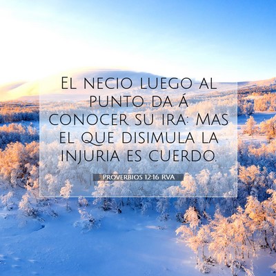 Picture 07 - Proverbios 12:16 RVA - El necio luego al punto da á conocer su ira: Mas - Bible Verse Picture