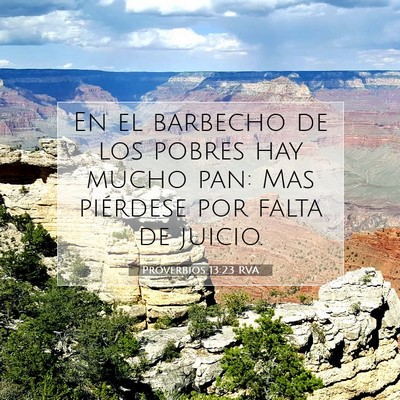 Picture 07 - Proverbios 13:23 RVA - En el barbecho de los pobres hay mucho pan: Mas - Bible Verse Picture