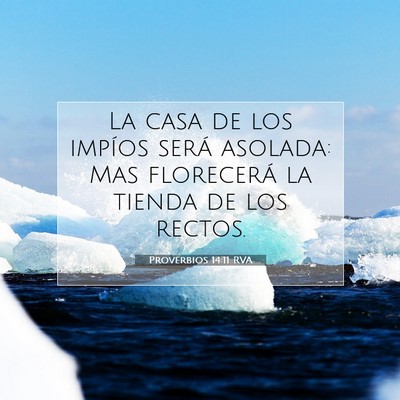 Picture 07 - Proverbios 14:11 RVA - La casa de los impíos será asolada: Mas - Bible Verse Picture