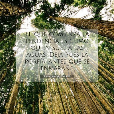 Picture 07 - Proverbios 17:14 RVA - El que comienza la pendencia es como quien suelta - Bible Verse Picture