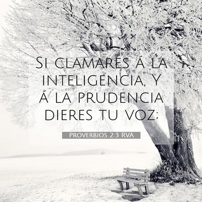 Picture 07 - Proverbios 2:3 RVA - Si clamares á la inteligencia, Y á la prudencia - Bible Verse Picture