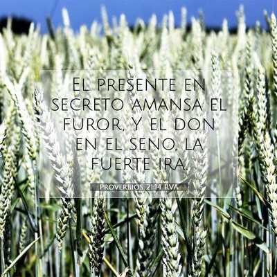 Picture 07 - Proverbios 21:14 RVA - El presente en secreto amansa el furor, Y el don - Bible Verse Picture