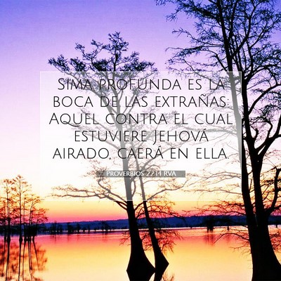 Picture 07 - Proverbios 22:14 RVA - Sima profunda es la boca de las extrañas: Aquel - Bible Verse Picture