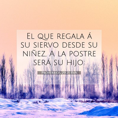 Picture 07 - Proverbios 29:21 RVA - El que regala á su siervo desde su niñez, A la - Bible Verse Picture