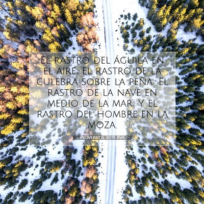 Picture 07 - Proverbios 30:19 RVA - El rastro del águila en el aire; El rastro de la - Bible Verse Picture