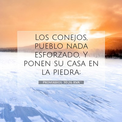 Picture 07 - Proverbios 30:26 RVA - Los conejos, pueblo nada esforzado, Y ponen su - Bible Verse Picture