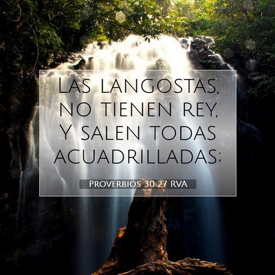 Picture 07 - Proverbios 30:27 RVA - Las langostas, no tienen rey, Y salen todas - Bible Verse Picture