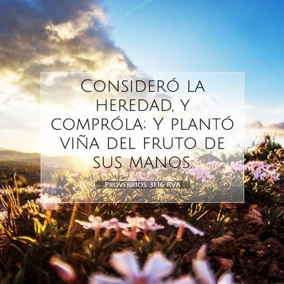 Picture 07 - Proverbios 31:16 RVA - Consideró la heredad, y compróla; Y plantó - Bible Verse Picture