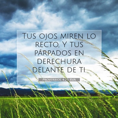 Picture 07 - Proverbios 4:25 RVA - Tus ojos miren lo recto, Y tus párpados en - Bible Verse Picture