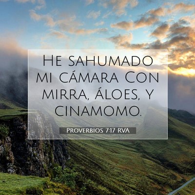 Picture 07 - Proverbios 7:17 RVA - He sahumado mi cámara Con mirra, áloes, y - Bible Verse Picture
