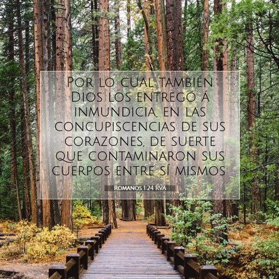 Picture 07 - Romanos 1:24 RVA - Por lo cual también Dios los entregó á - Bible Verse Picture