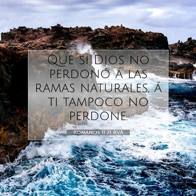 Picture 07 - Romanos 11:21 RVA - Que si Dios no perdonó á las ramas naturales, - Bible Verse Picture