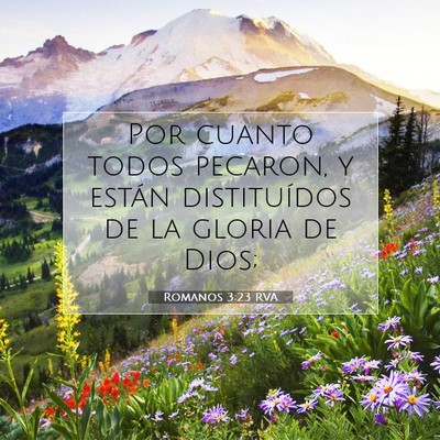 Picture 07 - Romanos 3:23 RVA - Por cuanto todos pecaron, y están distituídos - Bible Verse Picture