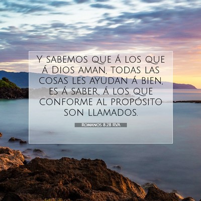 Picture 07 - Romanos 8:28 RVA - Y sabemos que á los que á Dios aman, todas las - Bible Verse Picture
