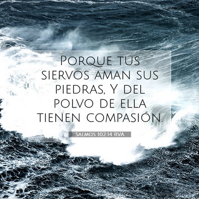 Picture 07 - Salmos 102:14 RVA - Porque tus siervos aman sus piedras, Y del polvo - Bible Verse Picture