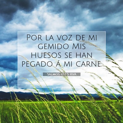 Picture 07 - Salmos 102:5 RVA - Por la voz de mi gemido Mis huesos se han pegado - Bible Verse Picture