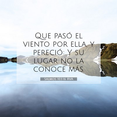 Picture 07 - Salmos 103:16 RVA - Que pasó el viento por ella, y pereció: Y su - Bible Verse Picture