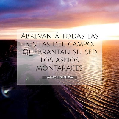 Picture 07 - Salmos 104:11 RVA - Abrevan á todas las bestias del campo: - Bible Verse Picture