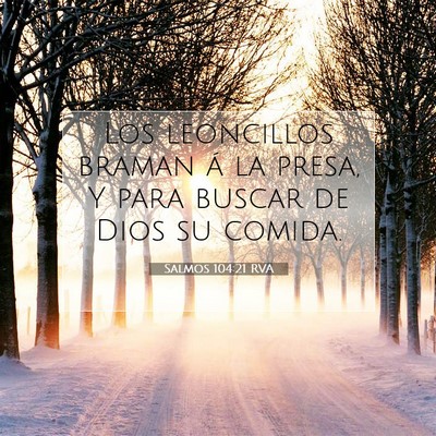Picture 07 - Salmos 104:21 RVA - Los leoncillos braman á la presa, Y para buscar - Bible Verse Picture