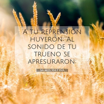 Picture 07 - Salmos 104:7 RVA - A tu reprensión huyeron; Al sonido de tu trueno - Bible Verse Picture