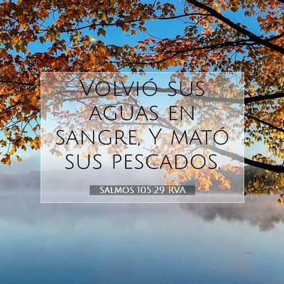 Picture 07 - Salmos 105:29 RVA - Volvió sus aguas en sangre, Y mató sus - Bible Verse Picture