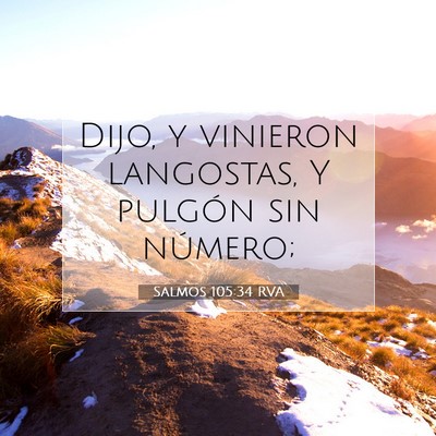 Picture 07 - Salmos 105:34 RVA - Dijo, y vinieron langostas, Y pulgón sin - Bible Verse Picture