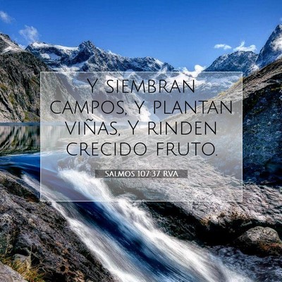 Picture 07 - Salmos 107:37 RVA - Y siembran campos, y plantan viñas, Y rinden - Bible Verse Picture