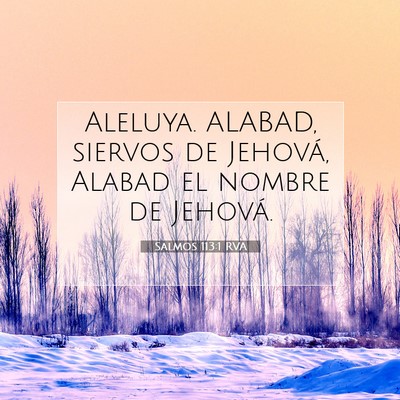 Picture 07 - Salmos 113:1 RVA - Aleluya. ALABAD, siervos de Jehová, Alabad el - Bible Verse Picture