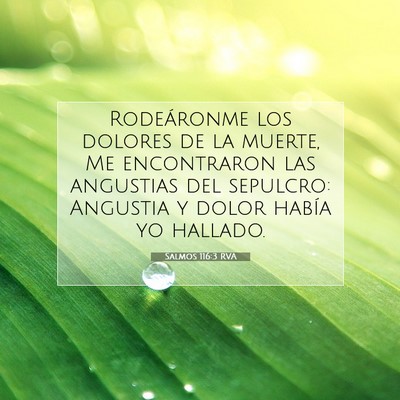 Picture 07 - Salmos 116:3 RVA - Rodeáronme los dolores de la muerte, Me - Bible Verse Picture