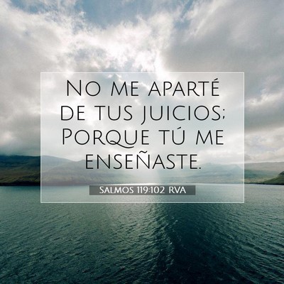 Picture 07 - Salmos 119:102 RVA - No me aparté de tus juicios; Porque tú me - Bible Verse Picture