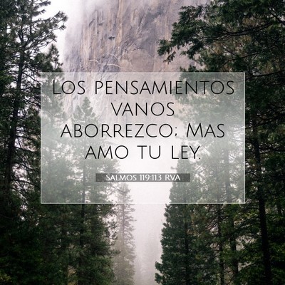 Picture 07 - Salmos 119:113 RVA - Los pensamientos vanos aborrezco; Mas amo tu - Bible Verse Picture