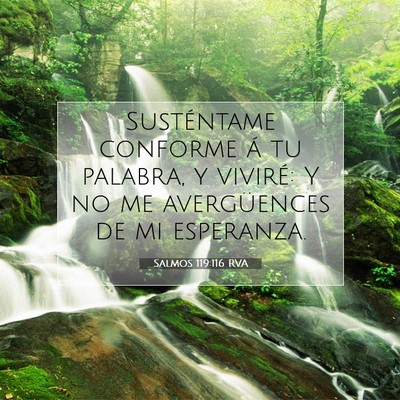 Picture 07 - Salmos 119:116 RVA - Susténtame conforme á tu palabra, y viviré: Y - Bible Verse Picture