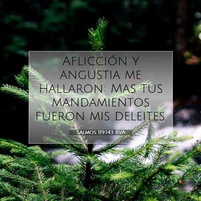 Picture 07 - Salmos 119:143 RVA - Aflicción y angustia me hallaron: Mas tus - Bible Verse Picture